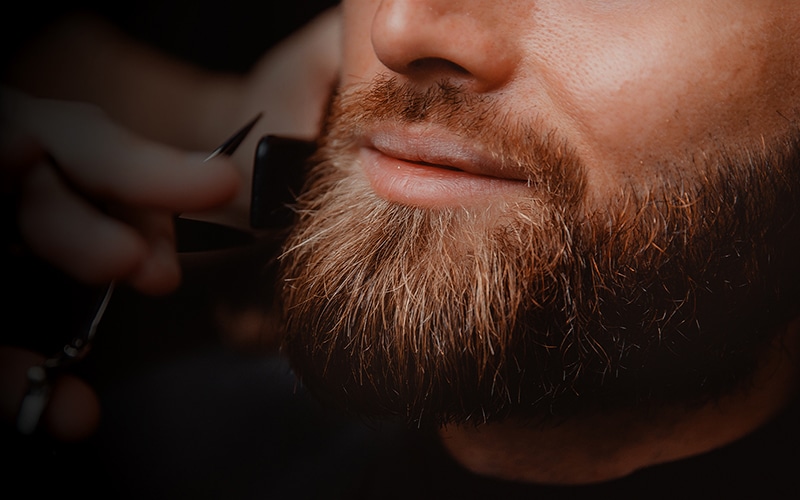 beard maintenance 101 - How To Maintain Your facial hair