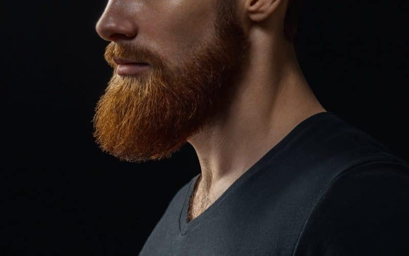 what is beard oil